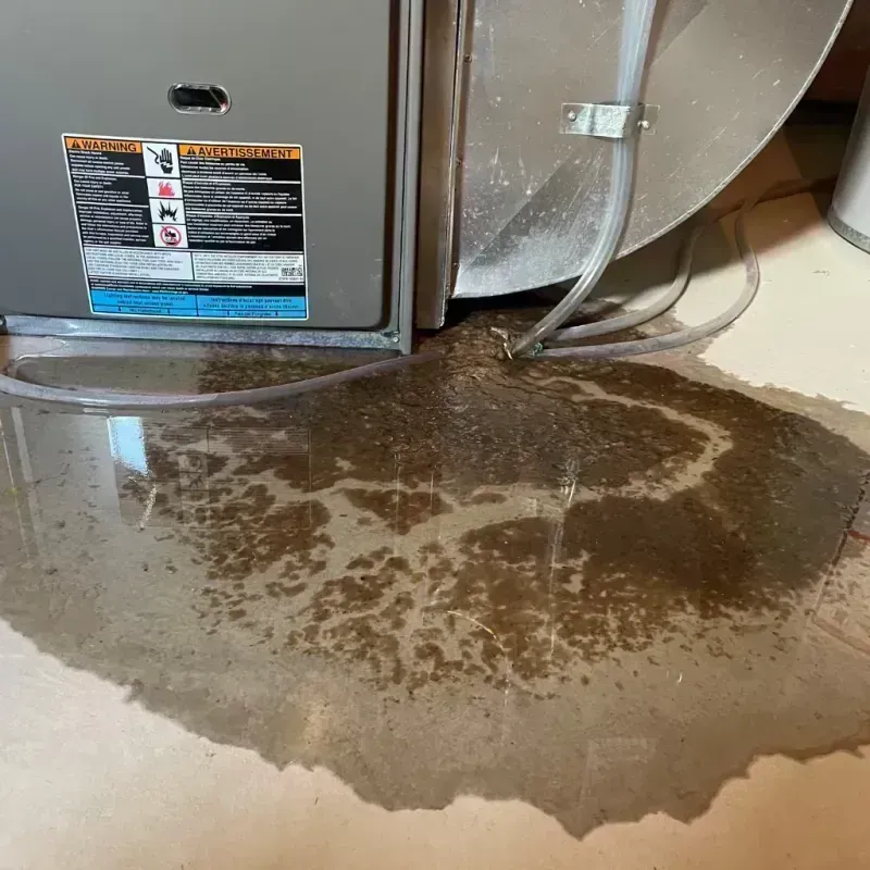 Appliance Leak Cleanup in Moapa Town, NV